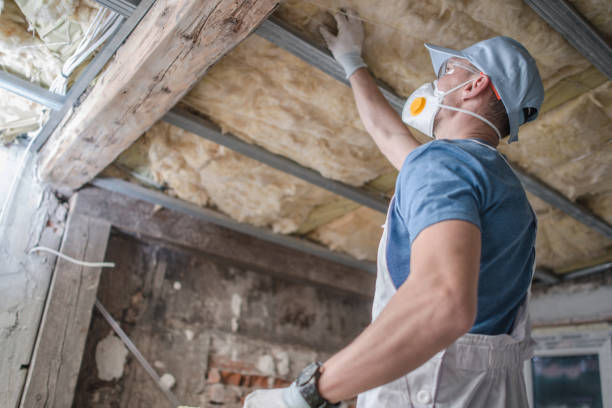 Best Geographic-Specific Insulation Services in St Simons, GA