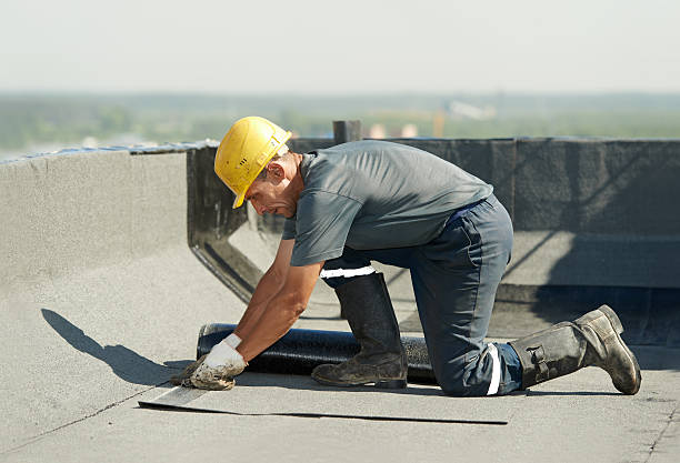 Best Cellulose Insulation in St Simons, GA